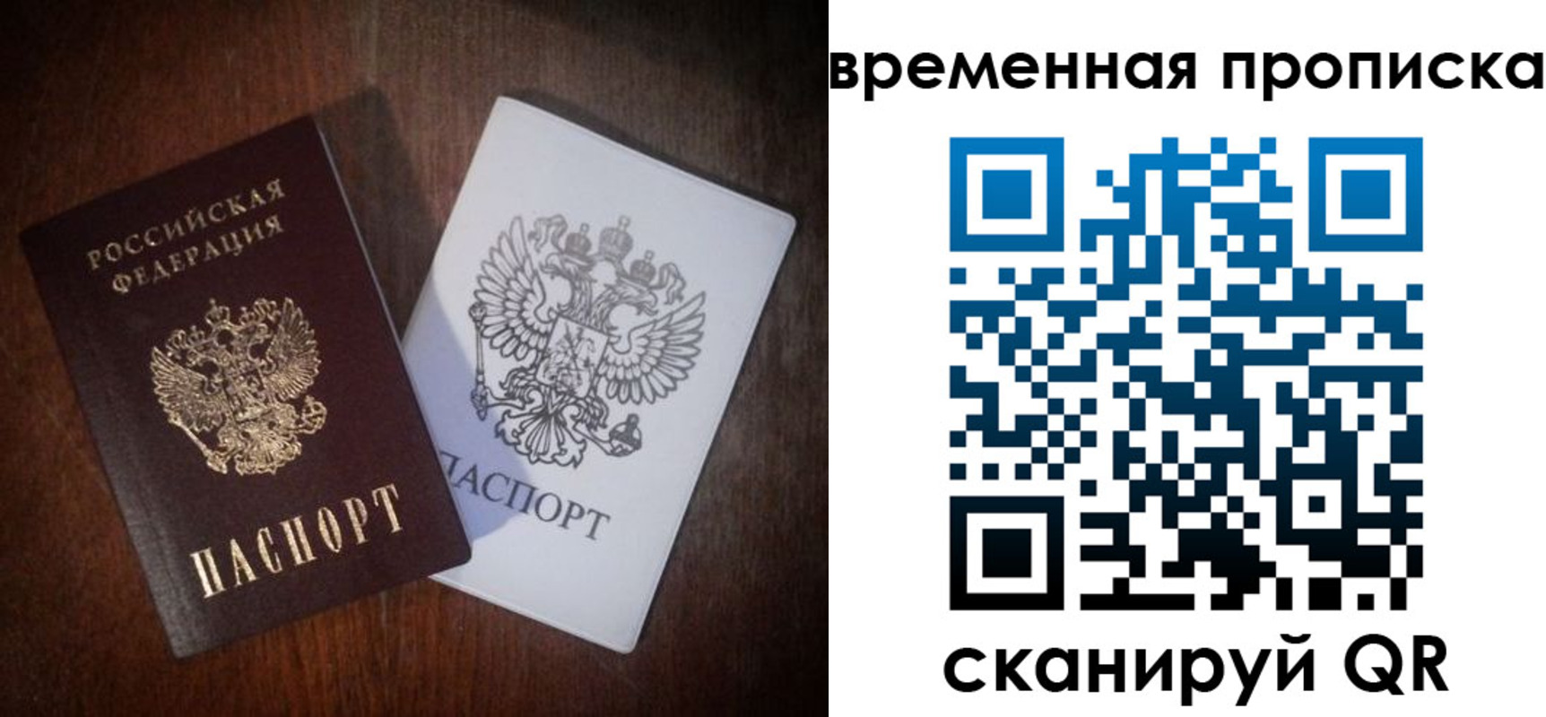 прописка штамп в Сольцах