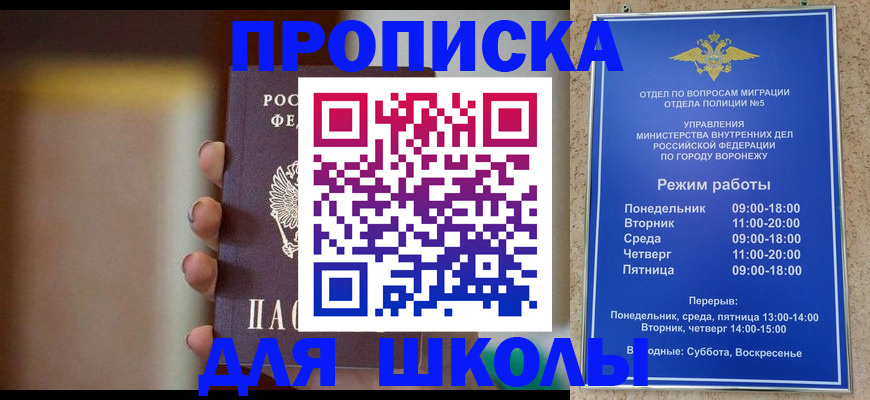 прописка ребенка в Сольцах